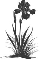 AI generated Silhouette iris flower in the ground black color only vector