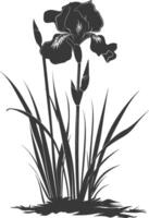 AI generated Silhouette iris flower in the ground black color only vector