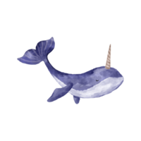 Watercolor whale. Fishes and the underwater world. Cute baby illustration on isolated background png