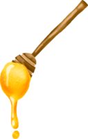 Honey isolated illustration png