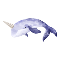 Watercolor whale. Fishes and the underwater world. Cute baby illustration on isolated background png