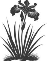 AI generated Silhouette iris flower in the ground black color only vector