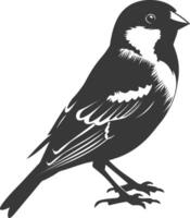 AI generated Silhouette House sparrow bird animal black color only vector