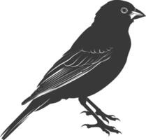 AI generated Silhouette House sparrow bird animal black color only vector