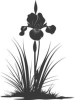 AI generated Silhouette iris flower in the ground black color only vector