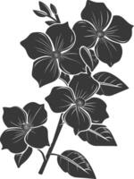 AI generated Silhouette jasmin flower black color only vector