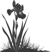 AI generated Silhouette iris flower in the ground black color only vector