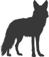 AI generated Silhouette coyote animal black color only full body vector