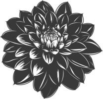 AI generated Silhouette dahlia flower black color only vector