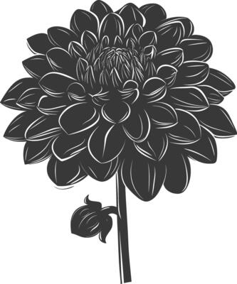 AI generated Silhouette dahlia flower black color only