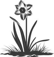 AI generated Silhouette daffodil flower in the ground black color only vector