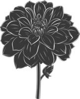 AI generated Silhouette dahlia flower black color only vector