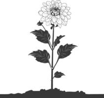 AI generated Silhouette dahlia flower in the ground black color only vector