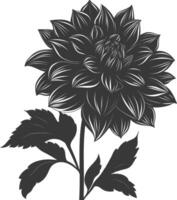 AI generated Silhouette dahlia flower black color only vector