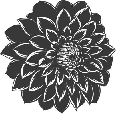 AI generated Silhouette dahlia flower black color only