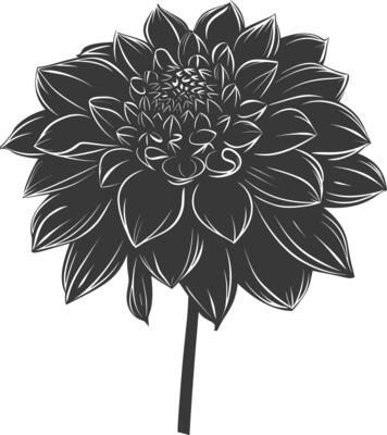 AI generated Silhouette dahlia flower black color only