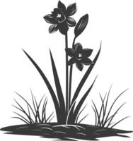 AI generated Silhouette daffodil flower in the ground black color only vector