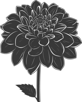 AI generated Silhouette dahlia flower black color only