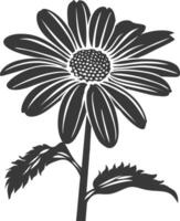 AI generated Silhouette daisy flower black color only vector