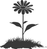 AI generated Silhouette daisy flower in the ground black color only vector