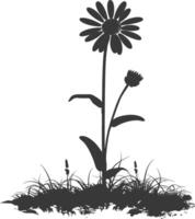 AI generated Silhouette daisy flower in the ground black color only vector