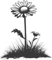 AI generated Silhouette daisy flower in the ground black color only vector