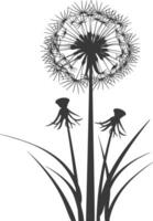 AI generated Silhouette Dandelions flower single black color only vector