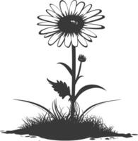 AI generated Silhouette daisy flower in the ground black color only vector