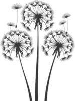 AI generated Silhouette Dandelions flower single black color only vector