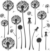 AI generated Silhouette Dandelions flower single black color only vector