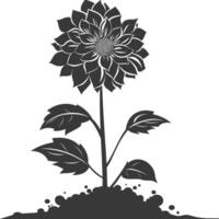 AI generated Silhouette dahlia flower in the ground black color only vector