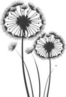 AI generated Silhouette Dandelions flower single black color only vector