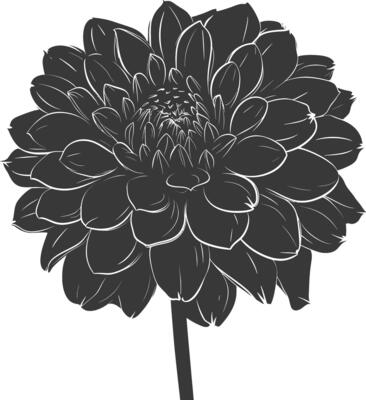 AI generated Silhouette dahlia flower black color only
