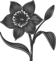 ai generado silueta narciso flor negro color solamente vector