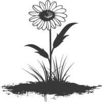 AI generated Silhouette daisy flower in the ground black color only vector