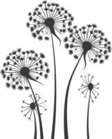 AI generated Silhouette Dandelions flower single black color only vector