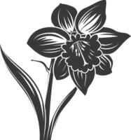 AI generated Silhouette daffodil flower black color only vector