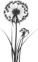 AI generated Silhouette Dandelions flower single black color only vector