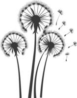 AI generated Silhouette Dandelions flower single black color only vector