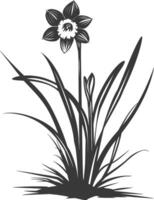 AI generated Silhouette daffodil flower in the ground black color only vector