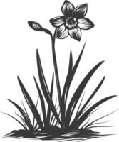 AI generated Silhouette daffodil flower in the ground black color only vector