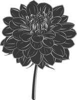 AI generated Silhouette dahlia flower black color only vector