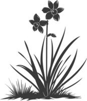 AI generated Silhouette daffodil flower in the ground black color only vector