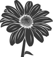 AI generated Silhouette daisy flower black color only vector