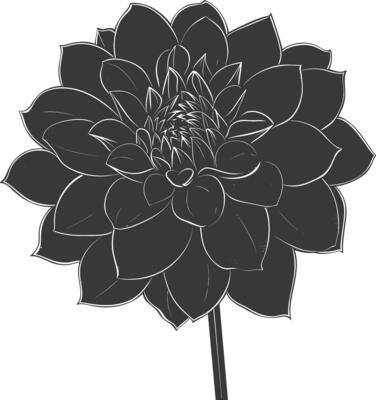 AI generated Silhouette dahlia flower black color only