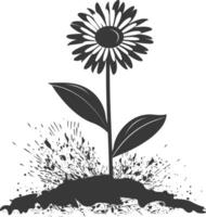 AI generated Silhouette daisy flower in the ground black color only vector