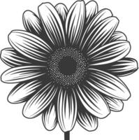 AI generated Silhouette daisy flower black color only vector