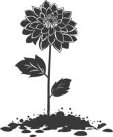 AI generated Silhouette dahlia flower in the ground black color only vector