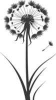 AI generated Silhouette Dandelions flower single black color only vector