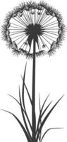 AI generated Silhouette Dandelions flower single black color only vector